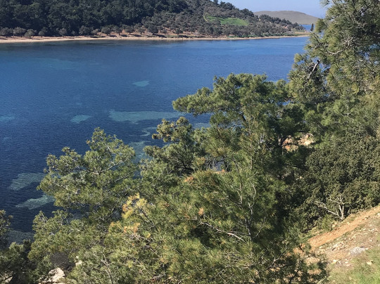 Seyir Terası-Ayvalik必去景点