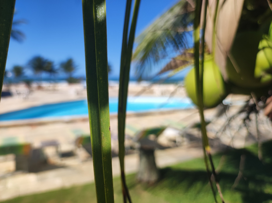 Hotel La Dolce Vita主图