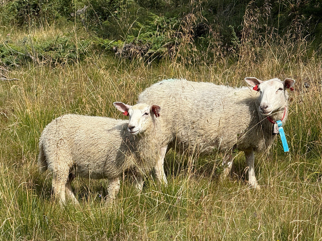 Skabu Fjellhotel主图