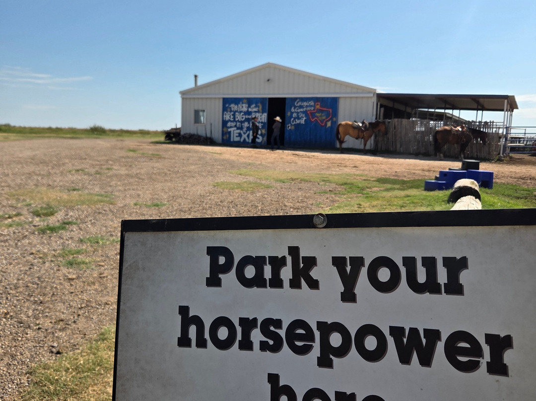 Cowgirls and Cowboys in the West-阿马里洛必去景点