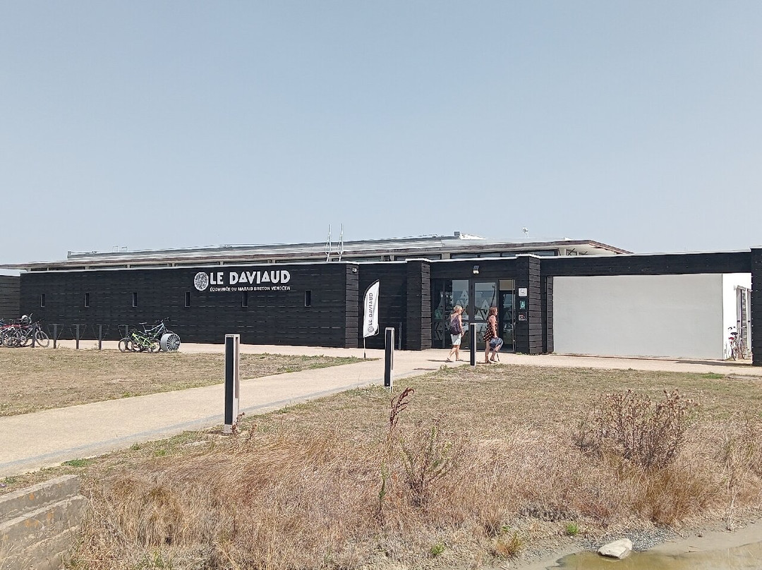 Déambul, Balade en Yole et Calèche-Le Perrier必去景点