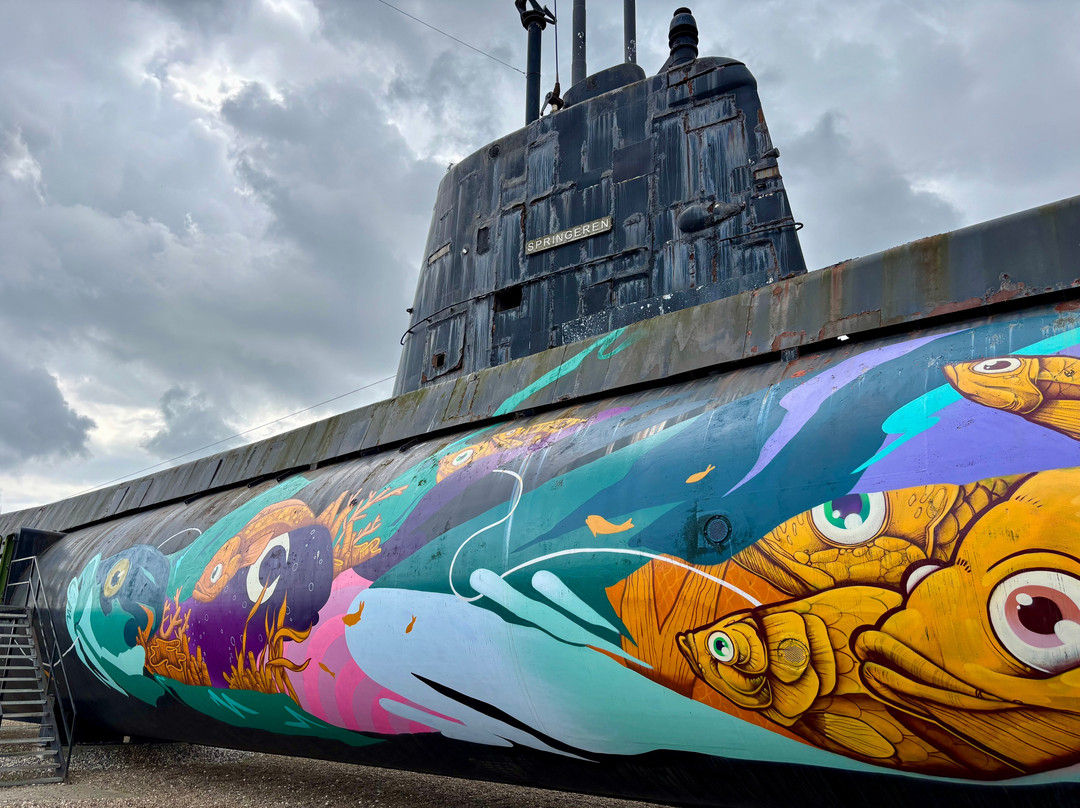 Springeren - Maritimt Oplevelsescenter-奥尔堡必去景点