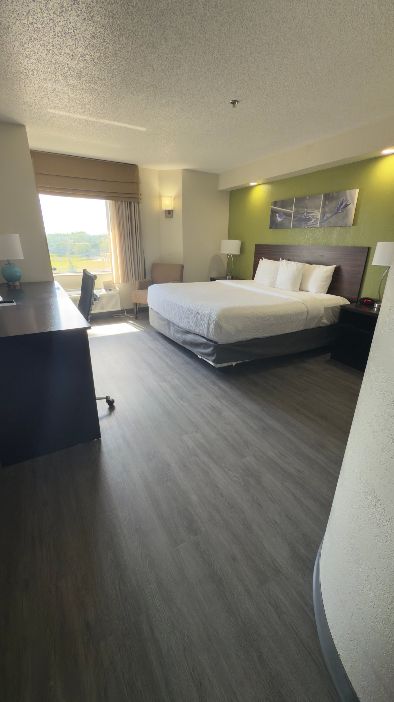 Sleep Inn Near Busch Gardens/usf-客卧