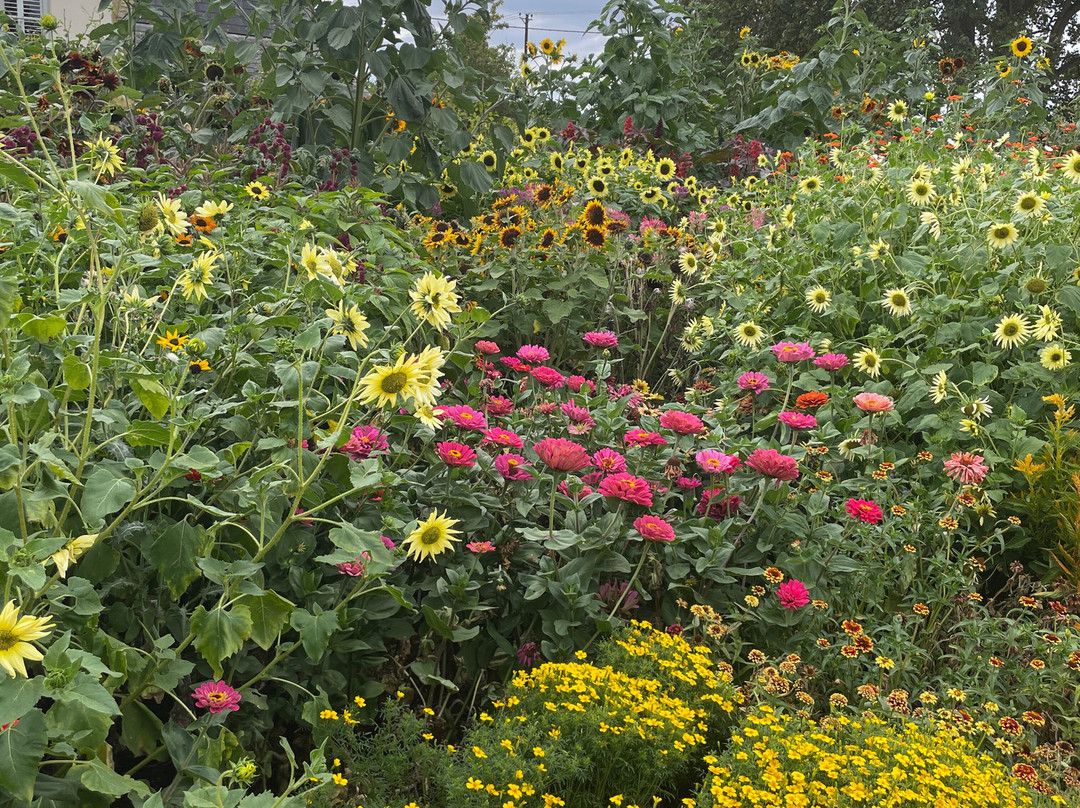 Aston Pottery-Aston必去景点