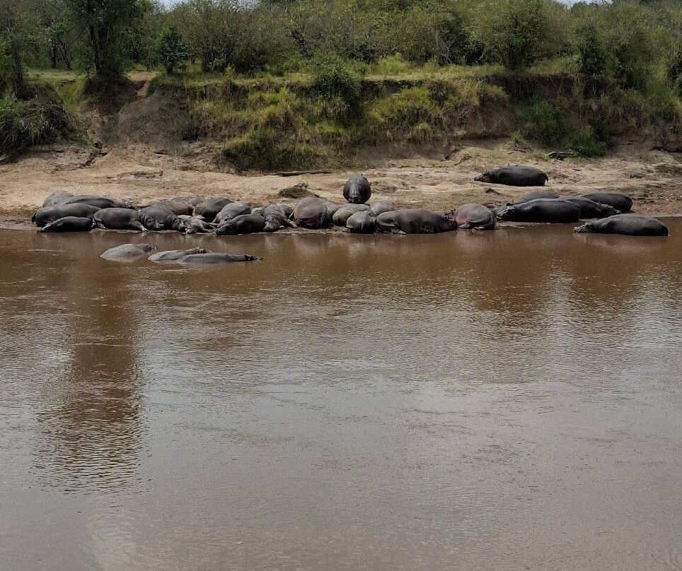 Leopard Orchid Safaris-内罗毕必去景点
