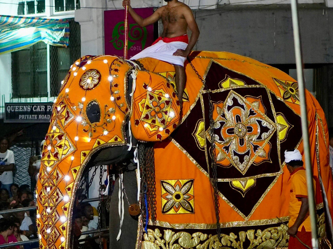 Lush Lanka Tours-Panadura必去景点