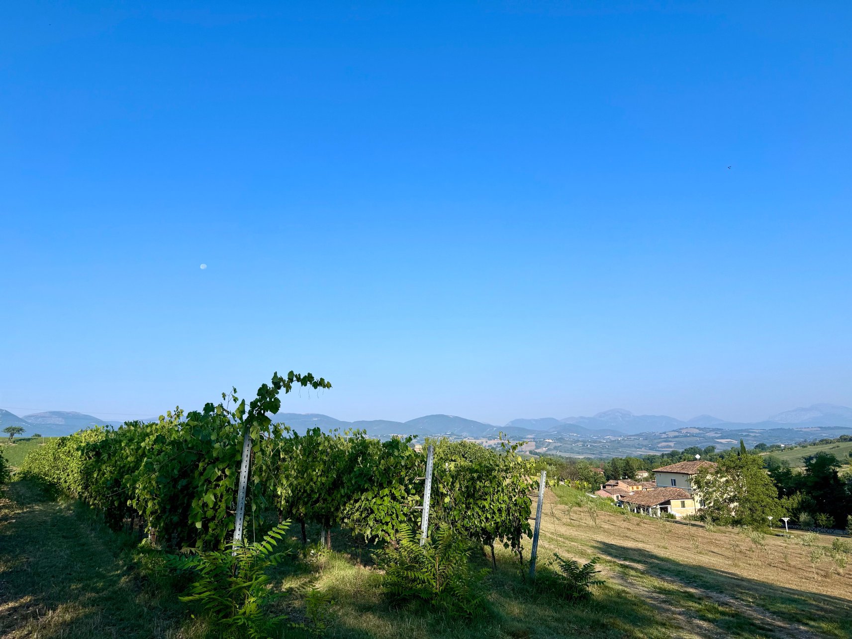 Casa Grimaldi Hotel & Restaurant-浴室