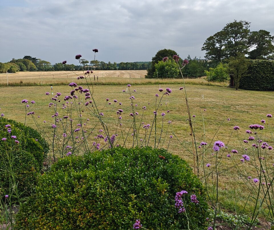 Ballymaloe House Hotel, an SLH Hotel主图