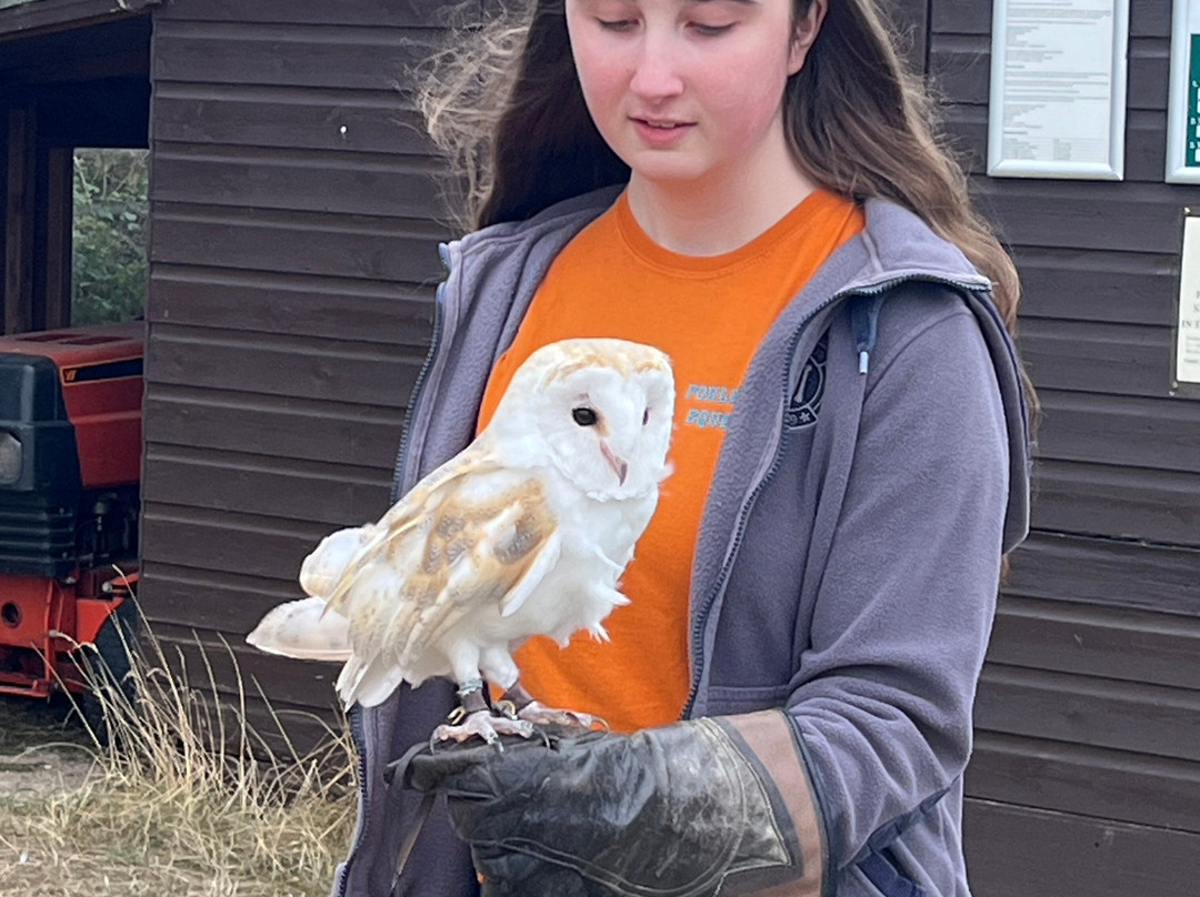 Feathers and Fur Falconry Centre-布拉克内尔必去景点