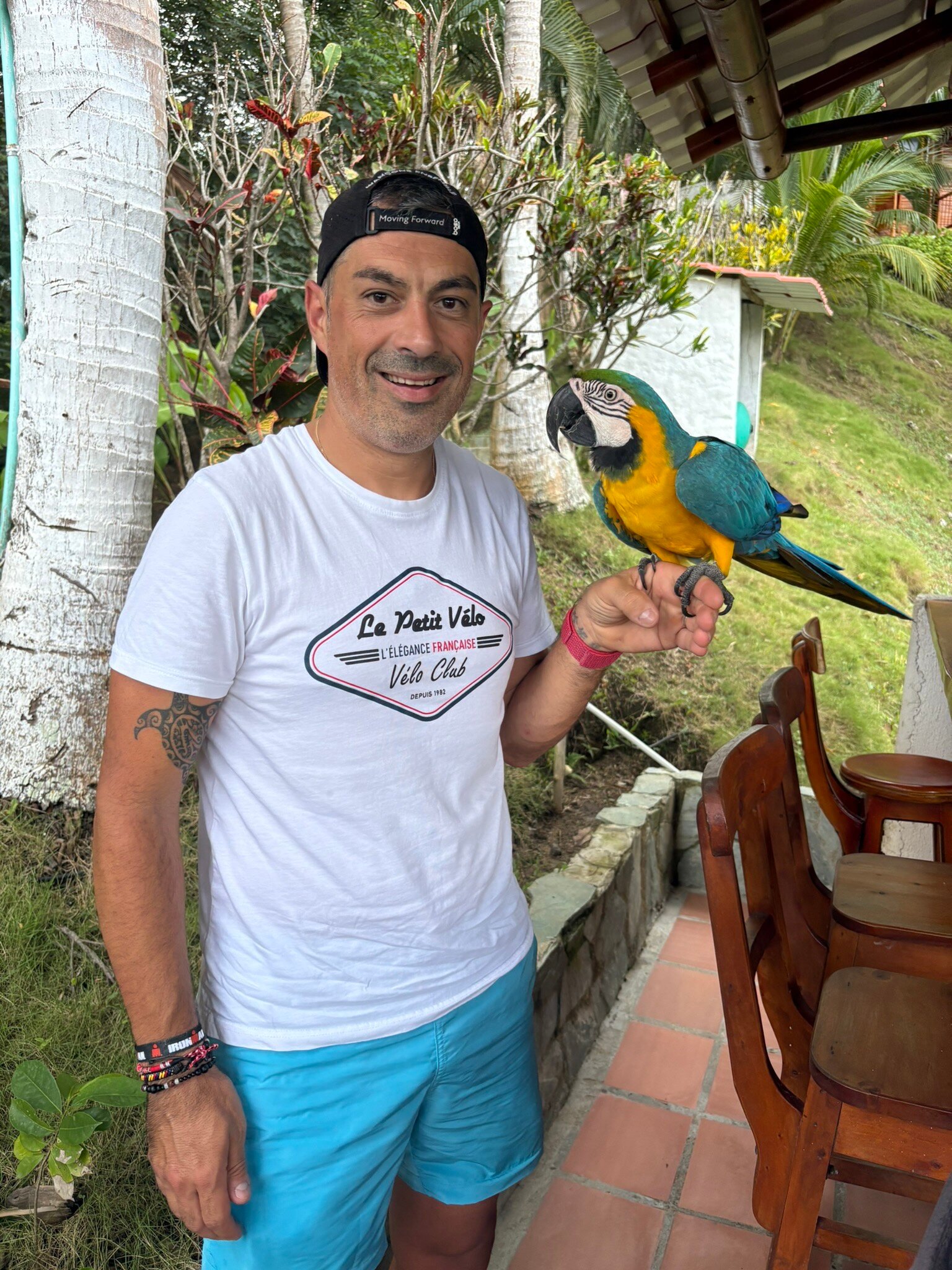 Villa Maria Tayrona, Jungle and Sea Experience-官方