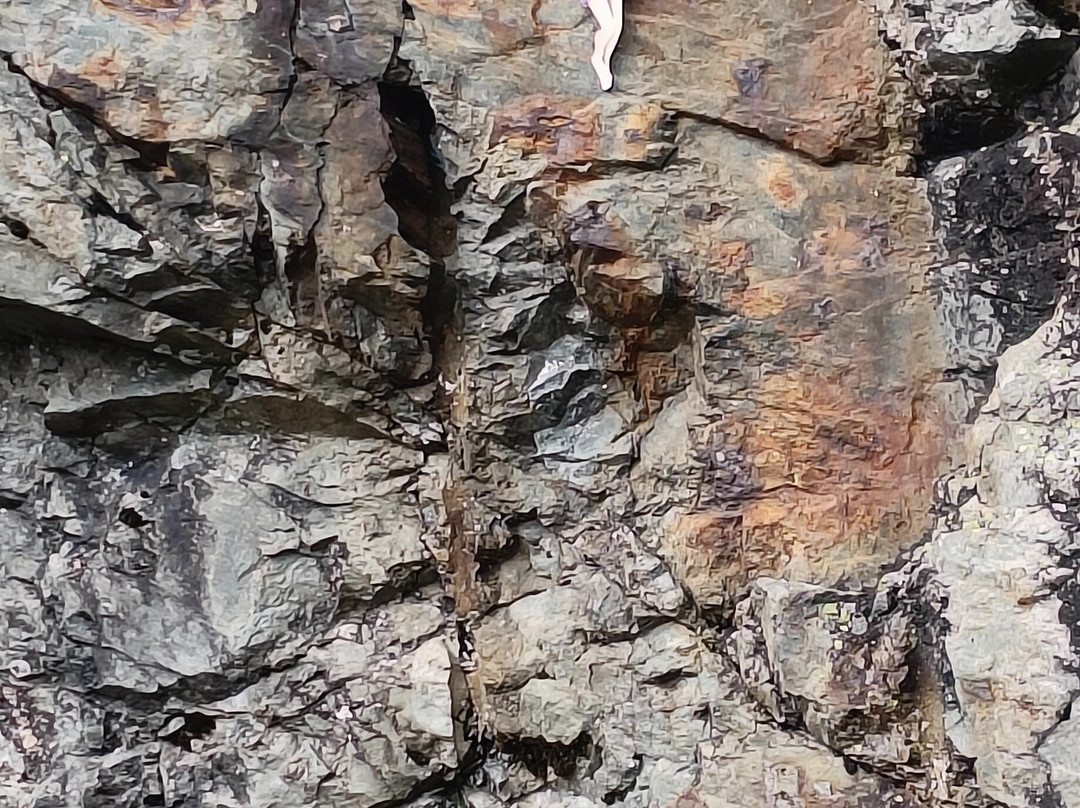 LAC DE SAINT GUÉRIN-Beaufort必去景点