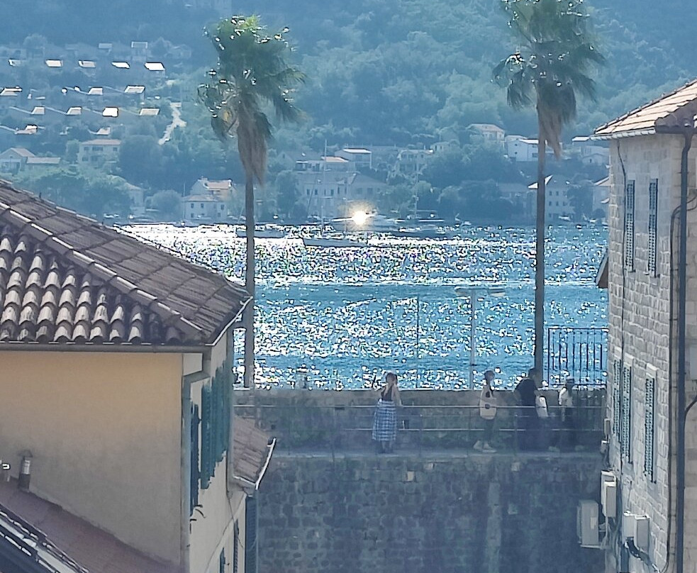 Hotel Vardar Kotor主图