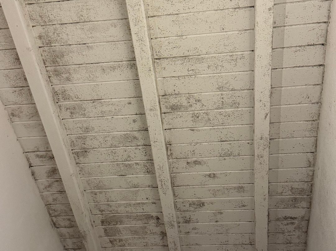 Mr And Mrs White Mykonos主图