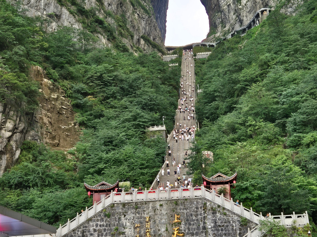 China Discovery-成都必去景点