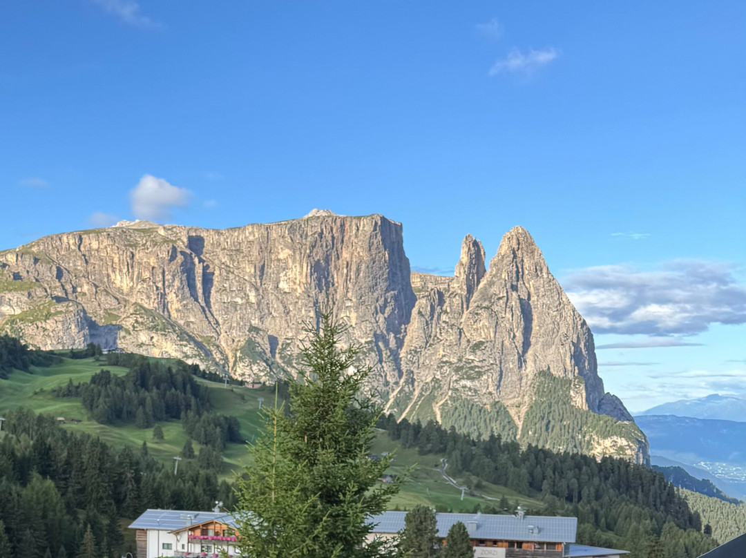 赛瑟阿尔姆尤塔勒酒店主图