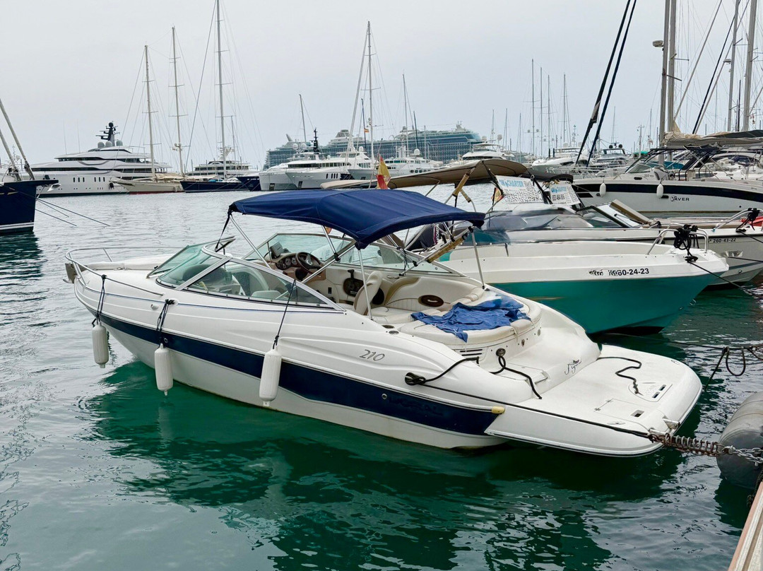 Boat Tours - Vela Mayorca-马洛卡帕尔马必去景点