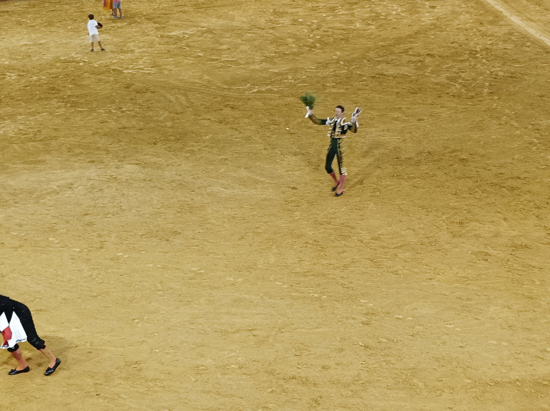Plaza De Toros Almeriense-阿尔梅里亚省必去景点