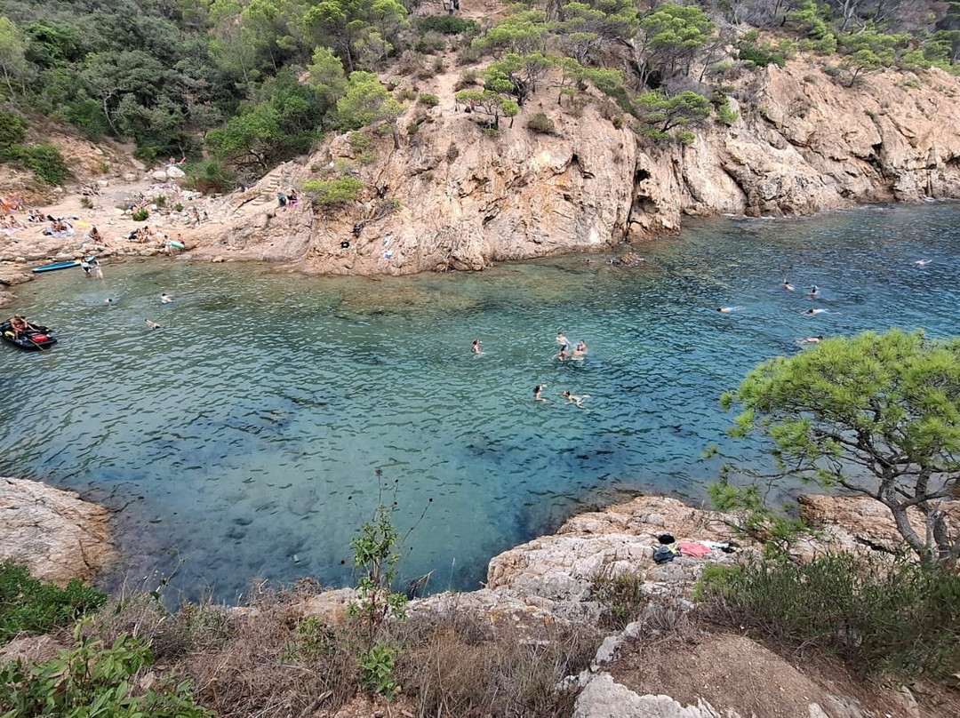 Cala Bona-多萨德马尔必去景点