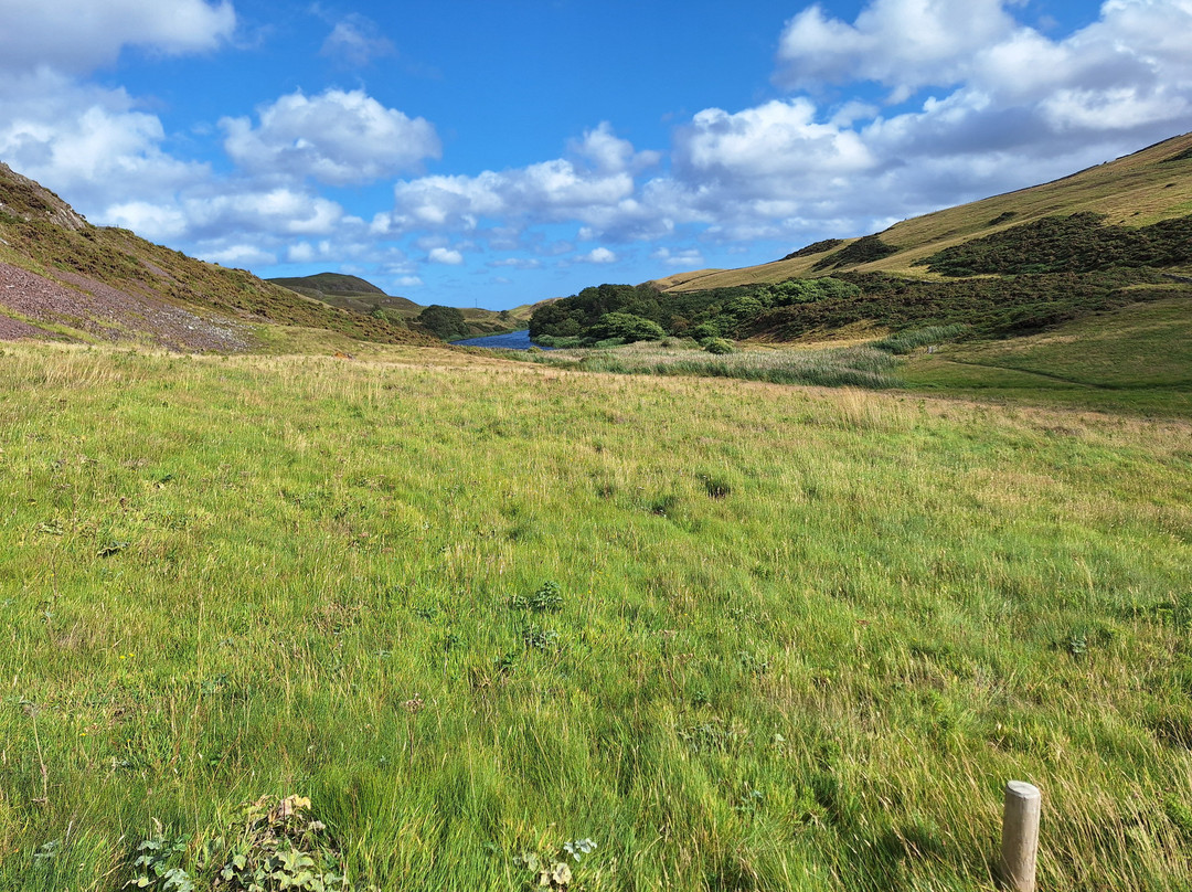 St Abbs Head National Nature Reserve-St Abbs必去景点