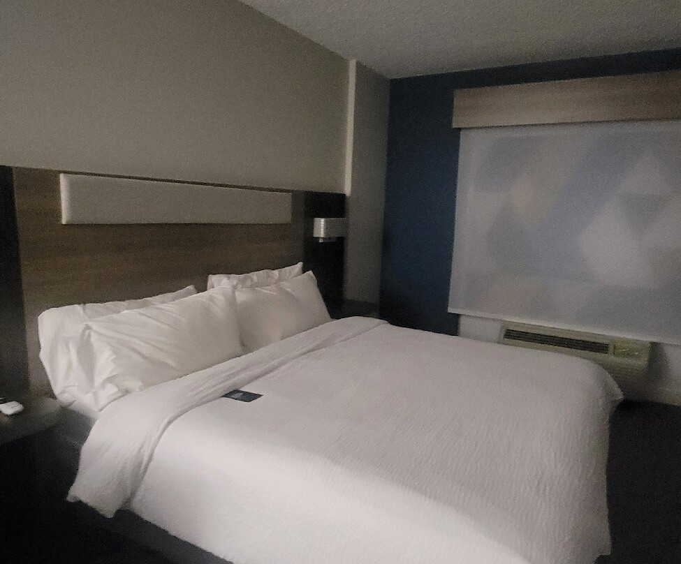 纽贝里快捷假日及套房酒店主图