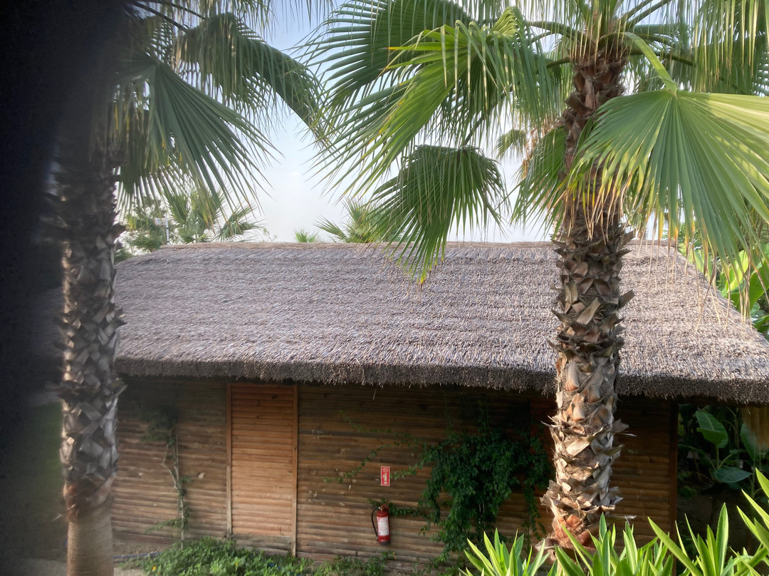 富丽园海滩俱乐部度假酒店 - 情侣概念（+16）主图