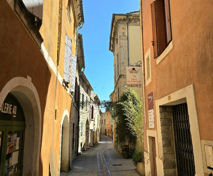 Wonders Of Provence Private Tours-圣雷米必去景点