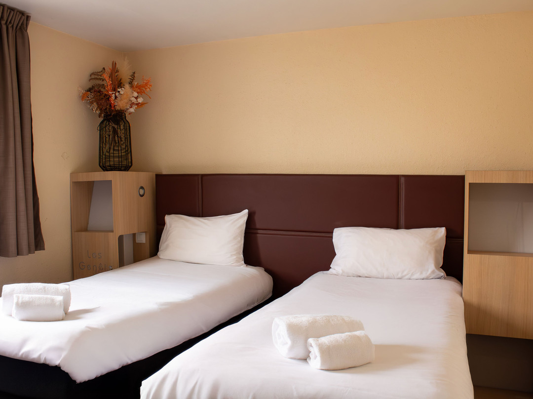 巴约讷金莲花酒店主图