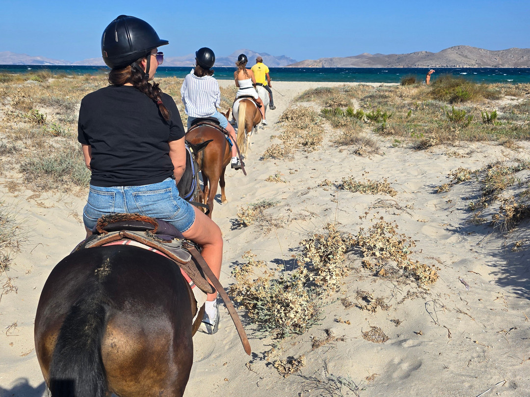 Horse Riding Family Farm-Kos Town必去景点