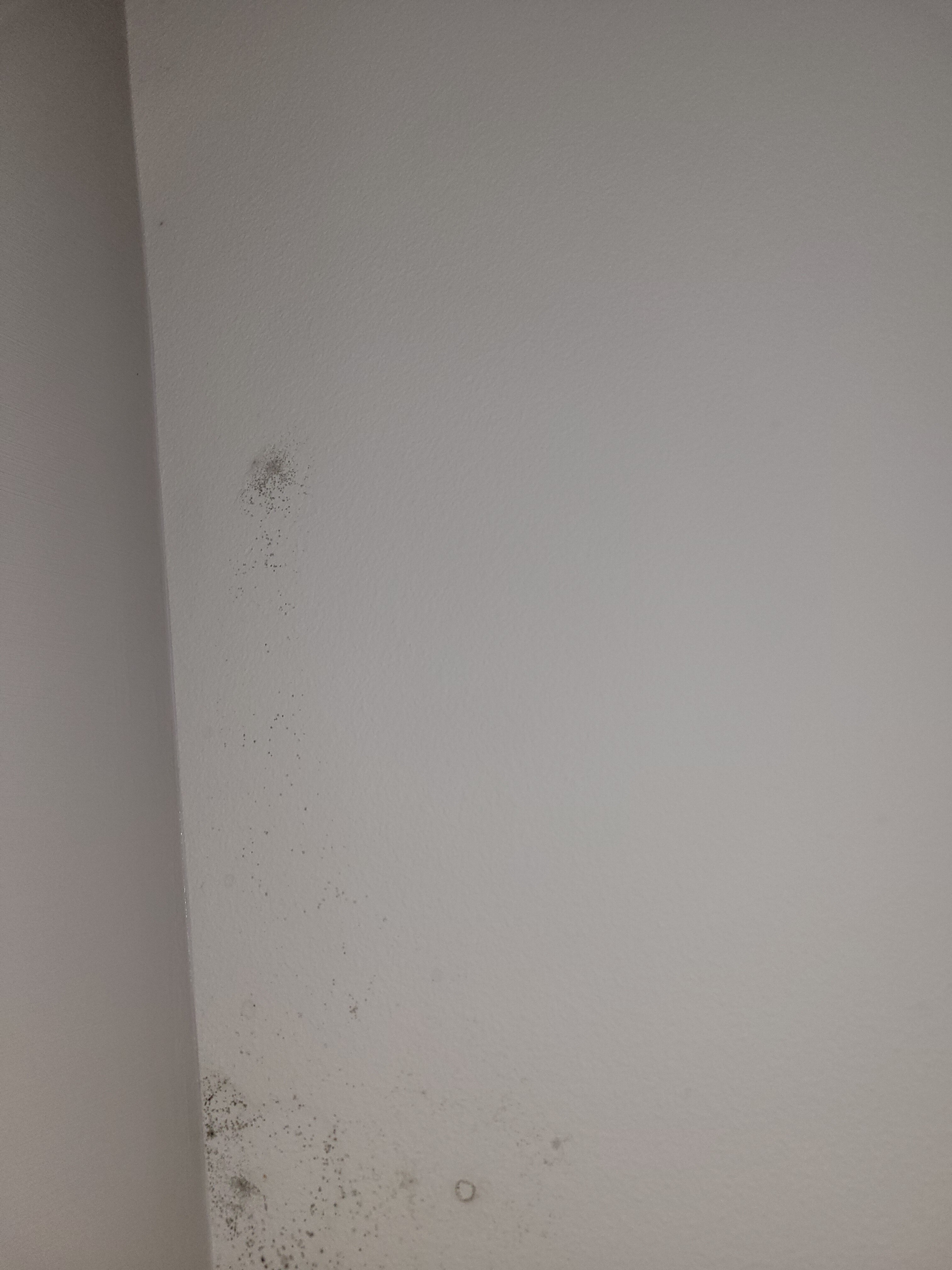 Courtyard by Marriott St. Augustine I-95-官方