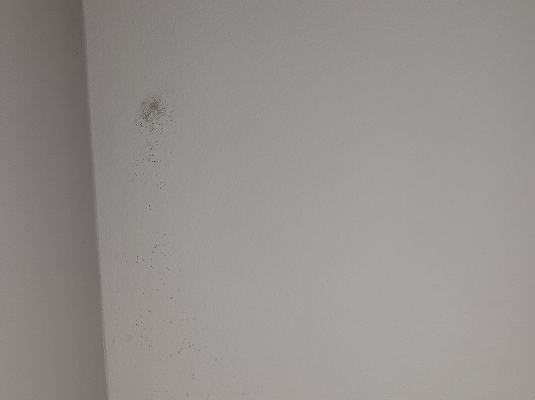 Courtyard by Marriott St. Augustine I-95主图