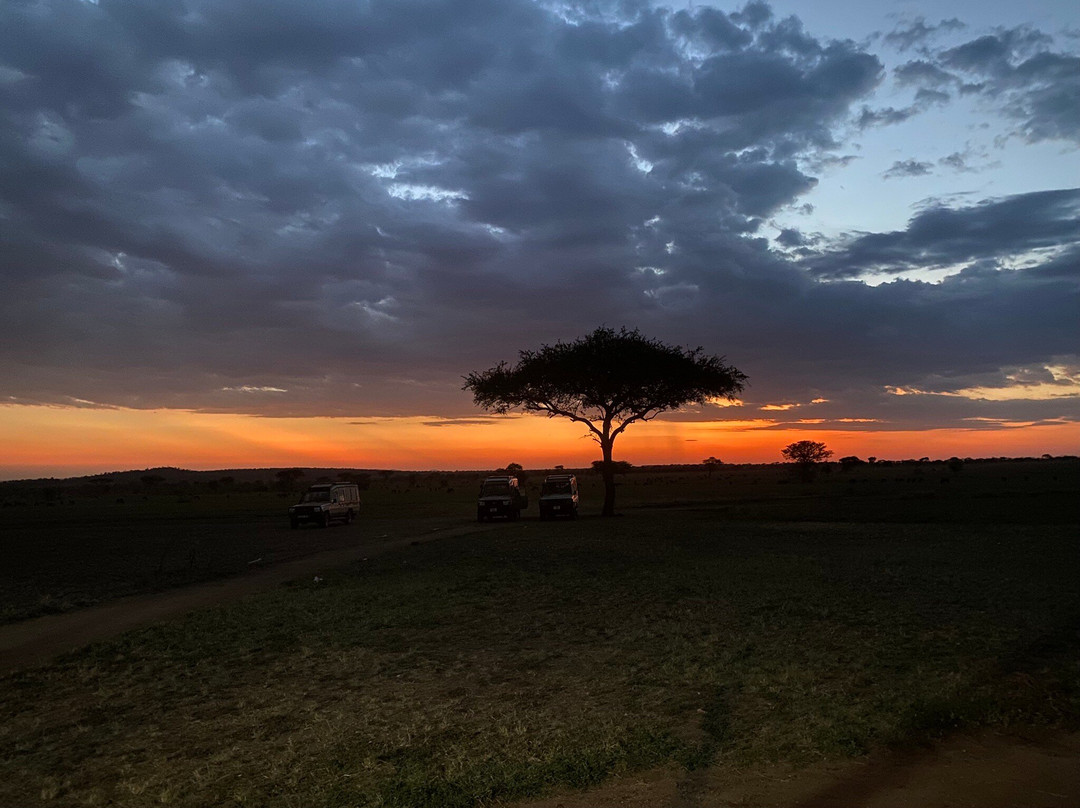Glimpse of Africa Tented Camp-Ikoma必去景点
