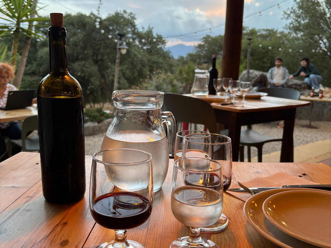 Agriturismo La Cerra主图