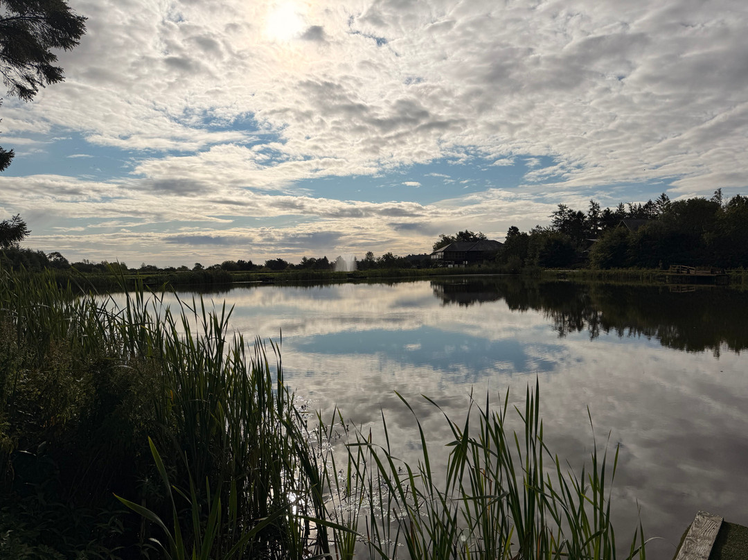 Forbes of Kingennie Country Resort Lodges主图