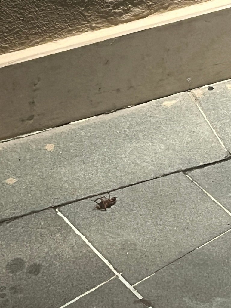 Club Grand Side-官方