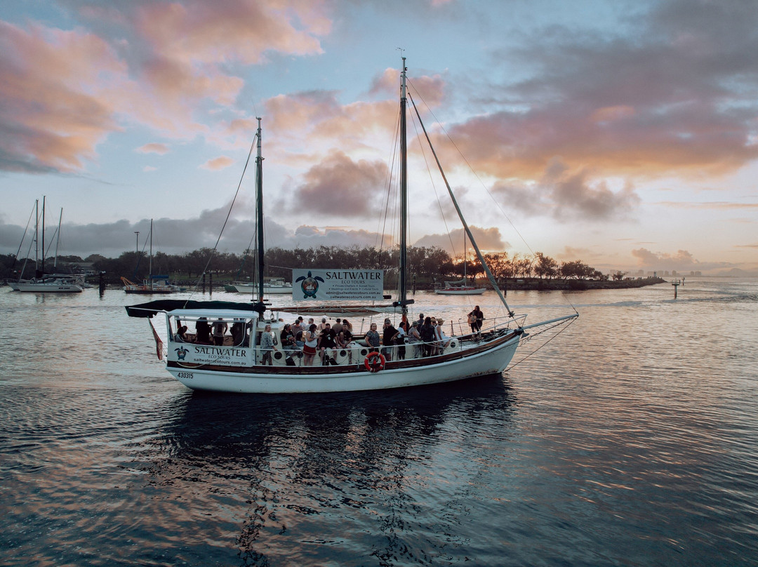 Saltwater Eco Tours-穆鲁拉巴必去景点