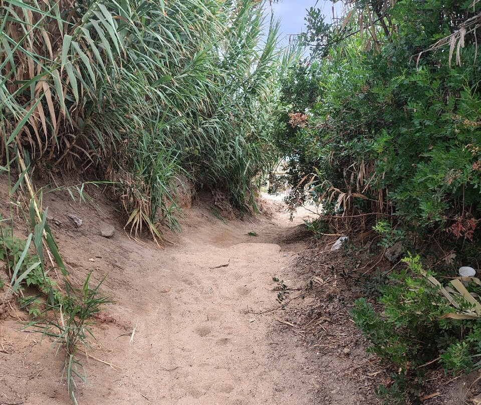 Sendero De Los Acantilados-Los Canos de Meca必去景点