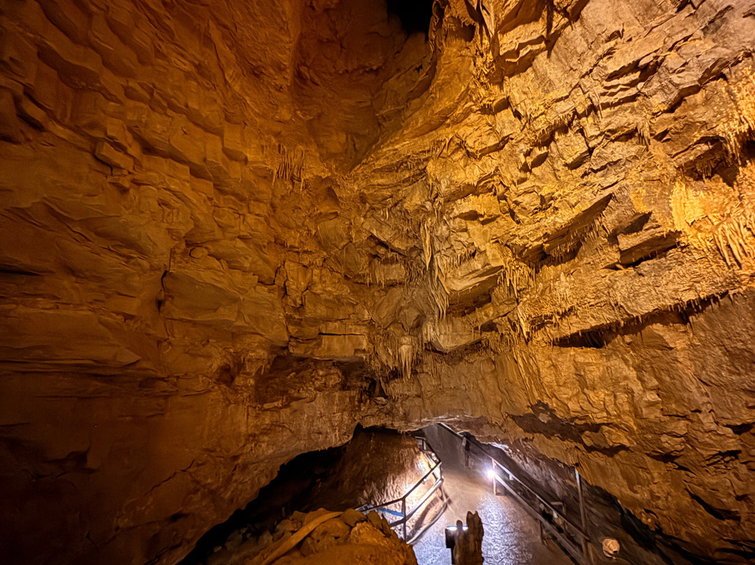 Lost World Caverns-Lewisburg必去景点