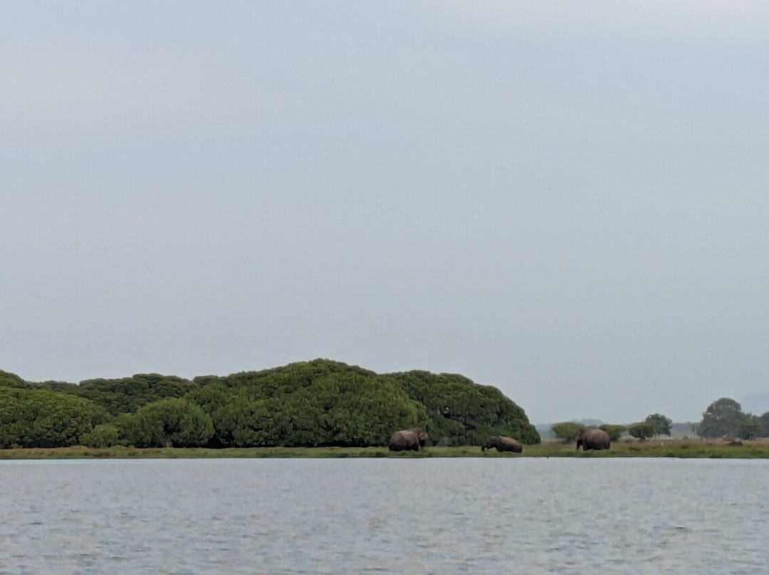 Arugam Bay Tours-阿鲁甘湾必去景点