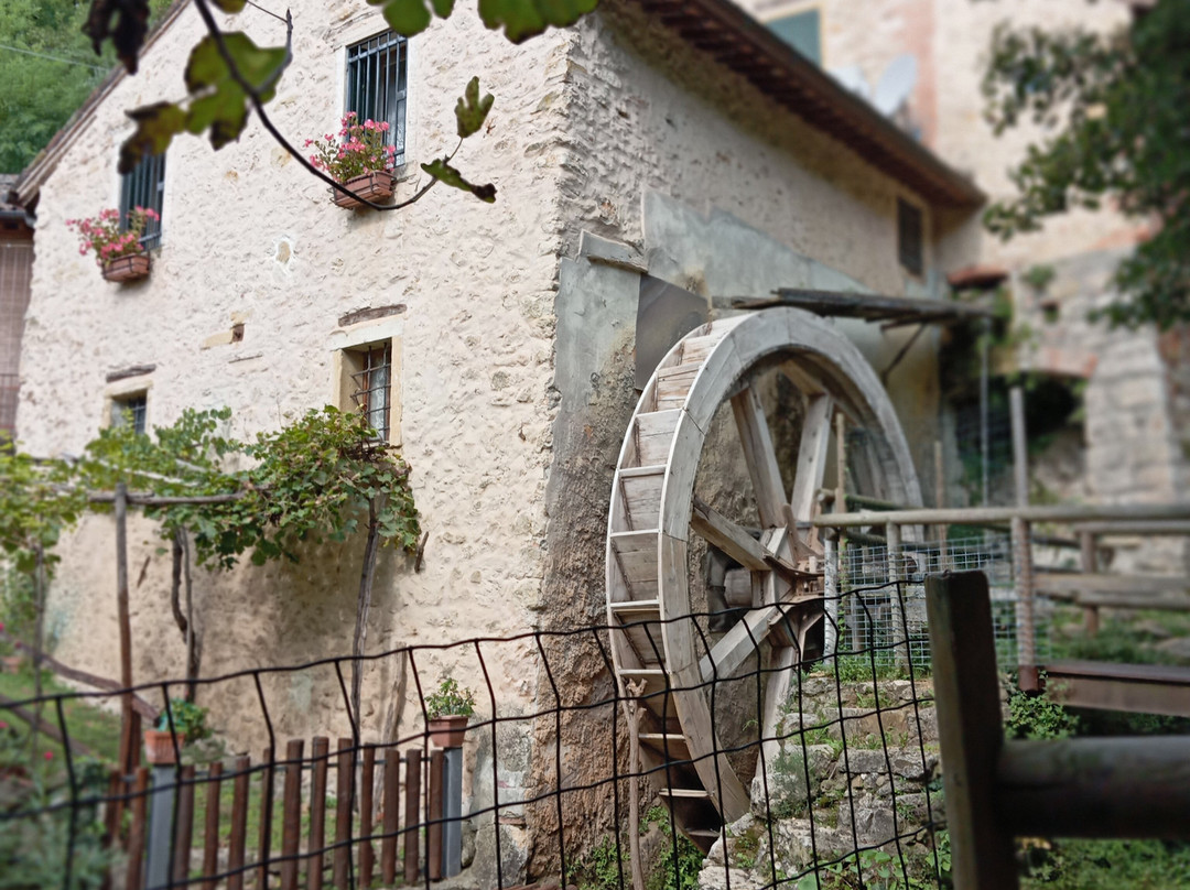 Valle dei Mulini-Mossano必去景点