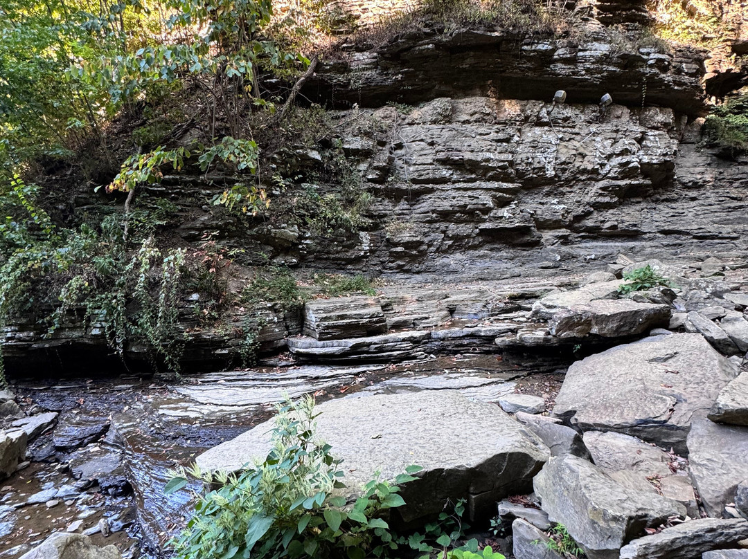 Cathedral Falls-Gauley Bridge必去景点