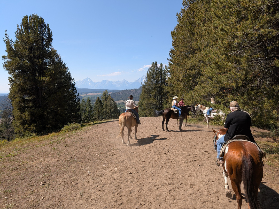 Swift Creek Outfitters & Teton Horseback Adventures-莫兰必去景点