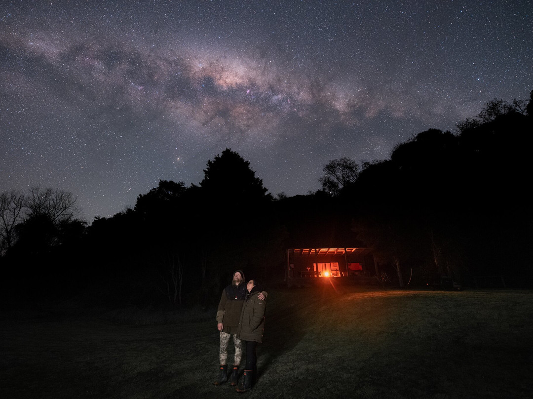 Under The Stars-马丁堡必去景点