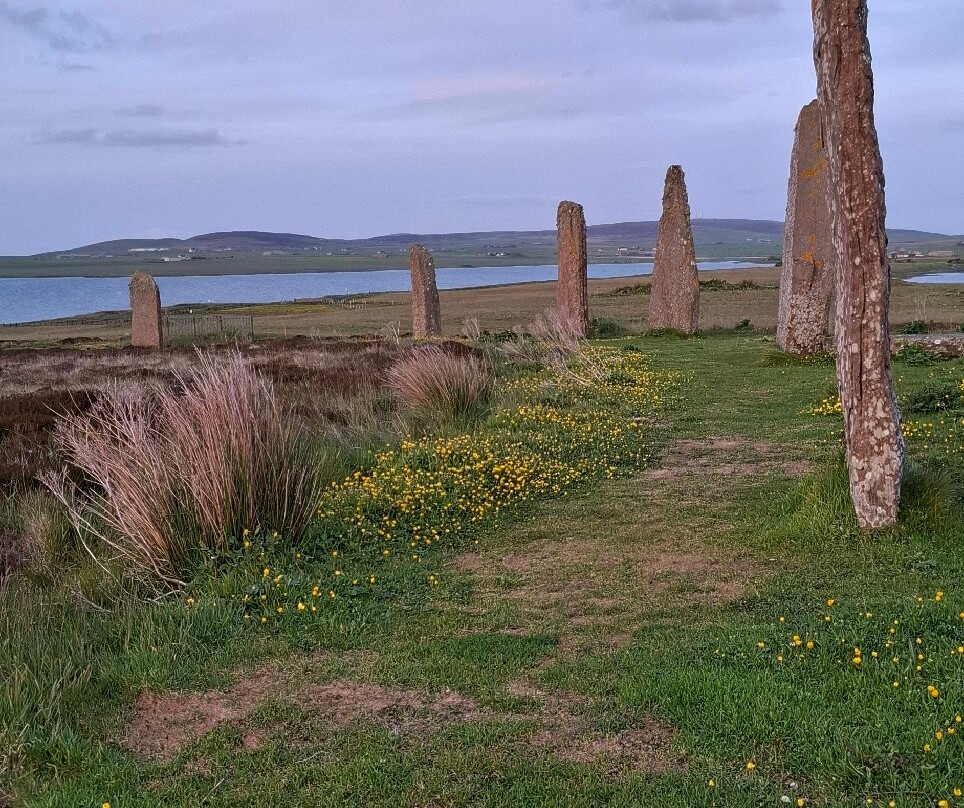 Ring of Brodgar-Stromness必去景点