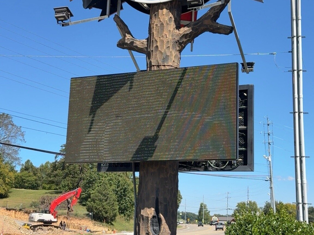 Smoky Mountain Alpine Coaster-皮金福奇必去景点