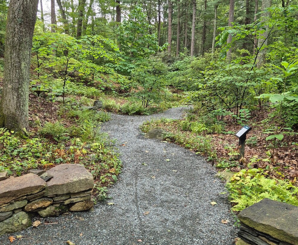 New England Wild Flower Society Garden in the Woods-弗雷明汉必去景点
