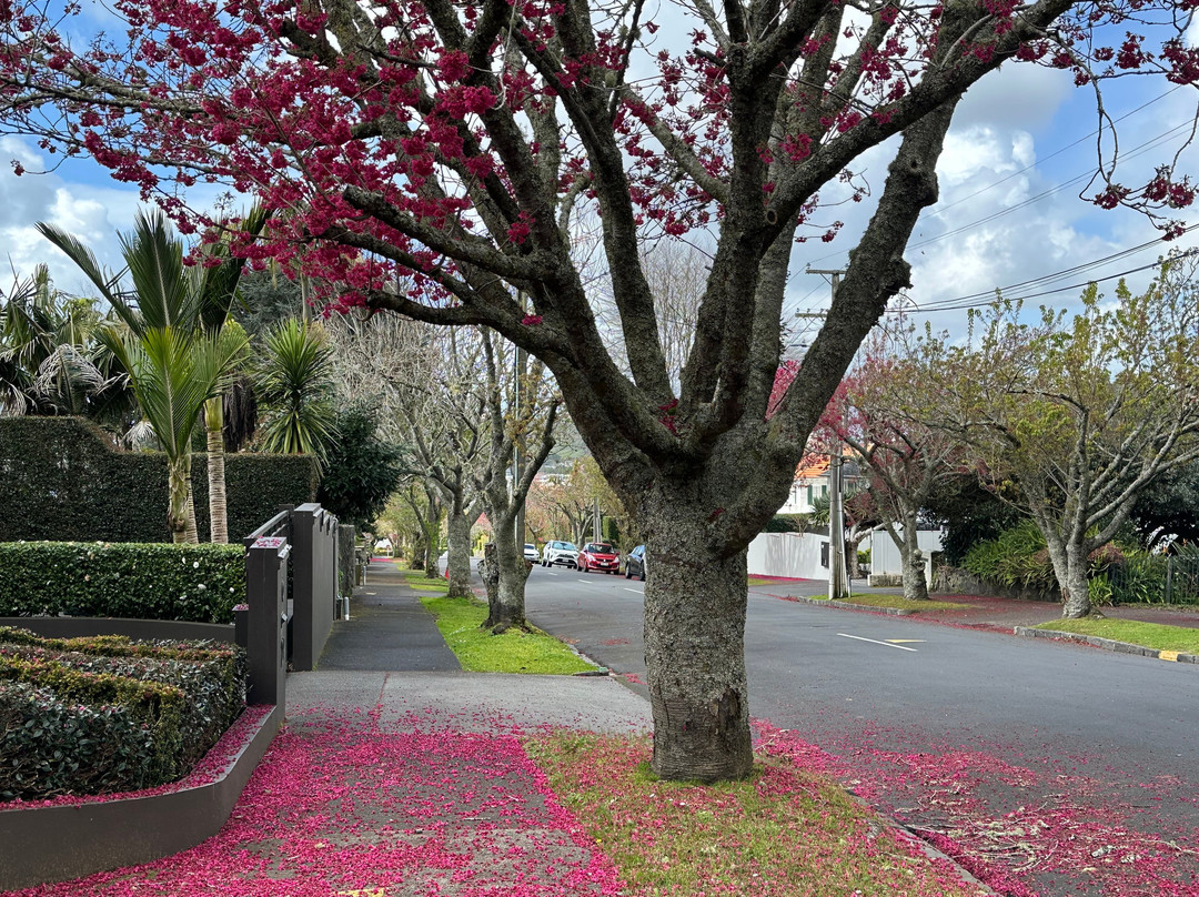 Eden Garden-埃普索姆必去景点