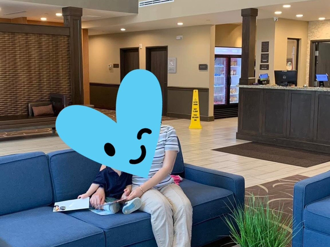 Comfort Suites Near Sam Houston Race Park主图