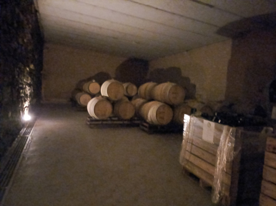 Varela Zarranz Winery-Canelones必去景点