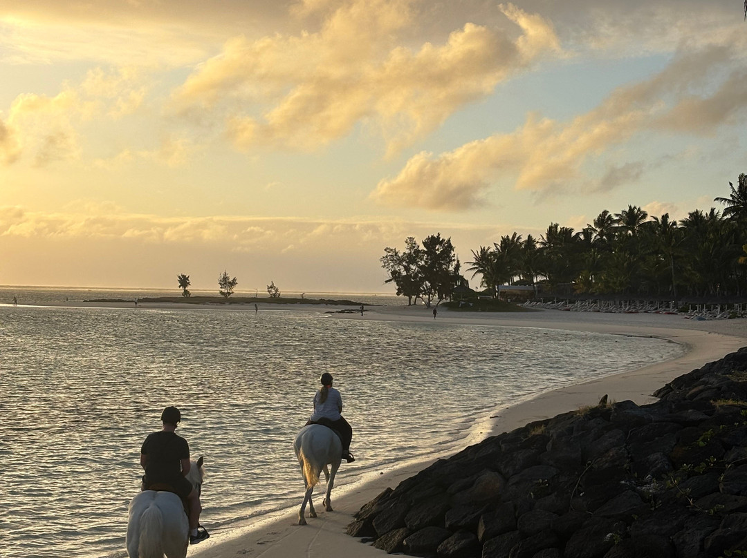 Legasea Stables Mauritius-Quatre Cocos必去景点