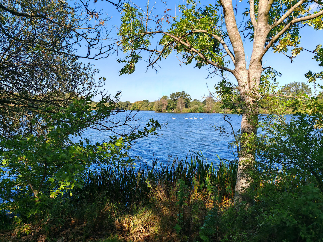 Dinton Pastures Country Park-Hurst必去景点